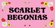 Scarlet Begonias Retro